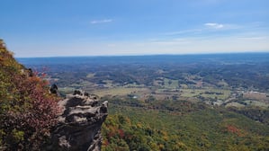 View to east