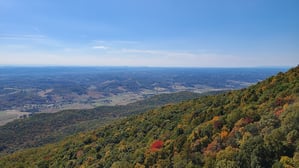 View to west